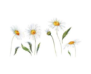 Sunflower Wall Stickers Decoration (Size 82cm x 45cm)