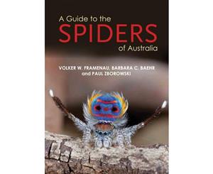 A Guide to Spiders of Australia