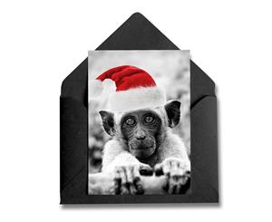 Christmas Card  Monkey