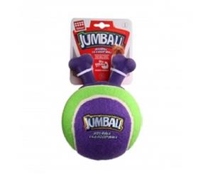 Gigwi Jumball Tennis Ball Green Purple