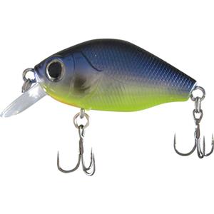 Kato Karnage Lolly Min Hard Body Lure 40mm