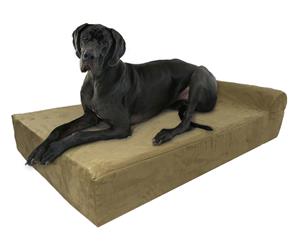 Big Paws Extra Large Orthopedic Memory Foam Dog Bed with Pillowtop Headrest 132X86X18CM - Khaki