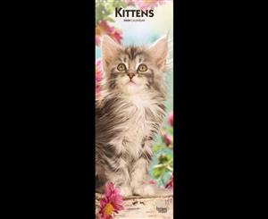 Kittens - 2020 Slim Wall Calendar