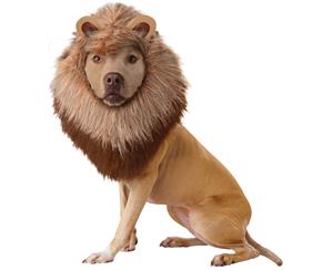 Lion Pet Costume