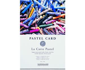 Sennelier La Carte 6 Colour Pastel Pad 40cm x 30cm - 12 sheets