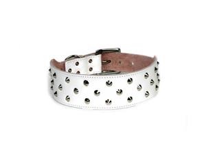 Dogue Stud Muffin Leather Dog Collar White