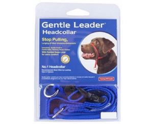 Gentle Leader Headcollar Blue