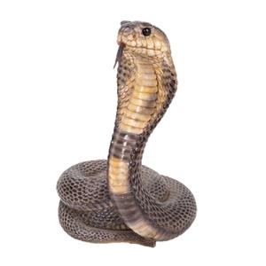 Northcote Pottery 23 x 32.5cm King Cobra Statue