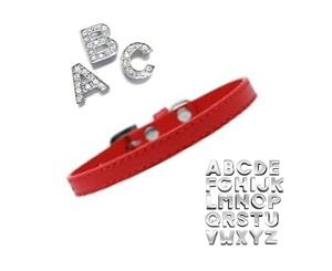 Plain Puppy Collar with Crystal Buckle - Red