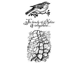 Stamperia Cling Stamp - 3.94 inch X6.5 inch - Cosmos Bird