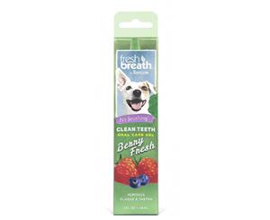 TropiClean Fresh Breath Clean Teeth Berry Fresh