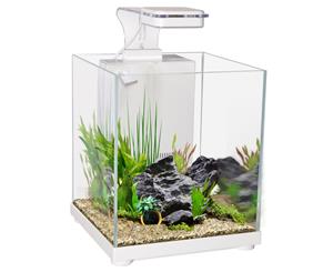 Aqua One Betta Sanctuary Glass Aquarium 10L 22.4W X 22.4D X 26.3cm H White