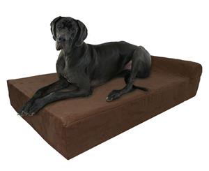 Extra Large Orthopedic Memory Foam Dog Bed with Pillowtop Bolster 132X86X18CM - Big Paws - Brown