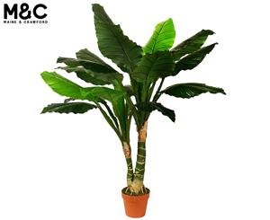 Maine & Crawford 120cm Artificial Dieffenbachia Plant in Plastic Pot