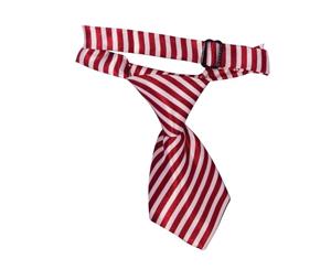 Dog Tie [Pattern Red & White]