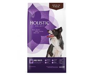 Holistic Select Grain Free Health Dry Dog Food - Deboned Turkey & Lentils