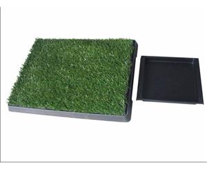 Indoor Dog Toilet Grass Potty Training Mat Loo Pad pad with 1 grass