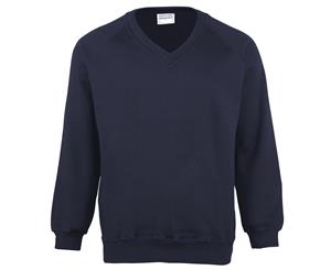 Maddins Mens Coloursure V-Neck Sweatshirt (Navy) - RW844