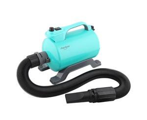 Shernbao Super Cyclone Single Motor Dryer SHD2600 (Spring Green)