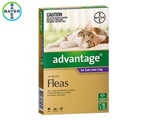 Advantage Flea Treatment For Cats 4kg+ 6pk