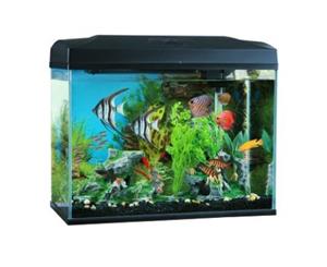 Blue Planet Classic Aquarium 70L