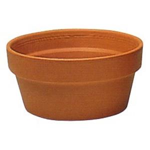 Northcote Pottery 32cm Italian Super Bloomer Terracotta Pot