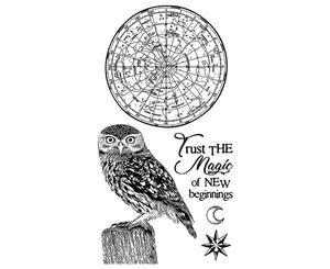 Stamperia Cling Stamp - 3.94 inch X6.5 inch - Cosmos Owl