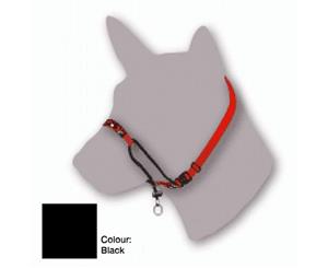 Black Dog Training Halter Black