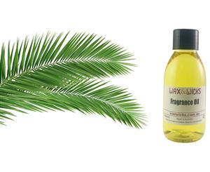 Palm Leaf & Jasmine - Fragrance Oil