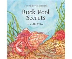 Rock Pool Secrets