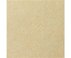 UART Premium Sanded Pastel Paper 9" x 12" (Grade 800) Pack of 10