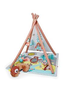 Camping Cubs Activity Gym