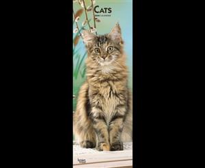 Cats - 2020 Slim Wall Calendar