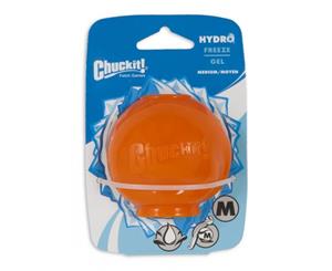 ChuckIt! Medium Hydrofreeze Cold Dog & Puppy Ball (Chuck It)