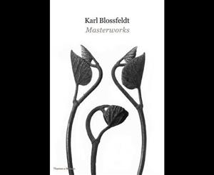 Karl Blossfeldt  Masterworks