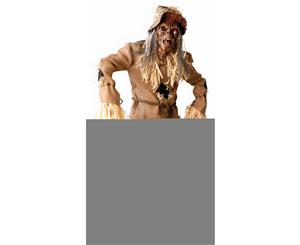 Mega Scarecrow Adult Costume