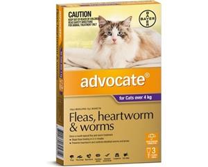 Advocate Cat Flea and Worm Treatment Over 4kg Purple 3 Pack (A2309)