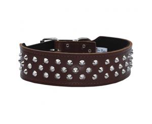 Dog Collar Staffy/Bull Terrier Leather with Studs 50mm - Brown