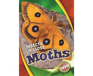 Moths - Hardback