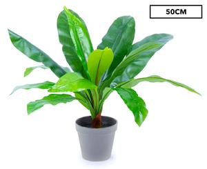 Plantasia 50cm Birds Nest Fern Artificial Pot Plant