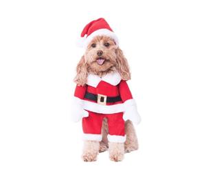 Walking Santa Deluxe Pet Costume