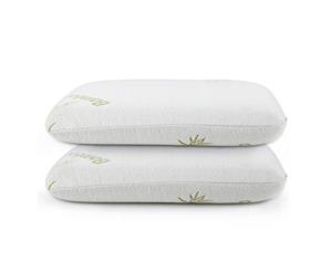 2 Luxdream Queen Size Memory Foam Pillow With Bamboo Cover