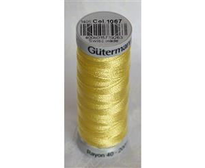 Gutermann SULKY Rayon 40 Embroidery Thread 200m Spool Colour 1067