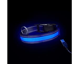 Loomo Moonshine LED Dog Collar Blue