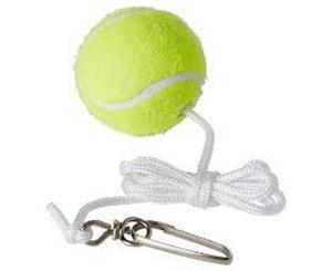 Regent Spare Spin Tennis Ball