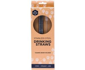 Stainless Steel Straw Pack (Straight) with Cleaning Brush - 2 Pack