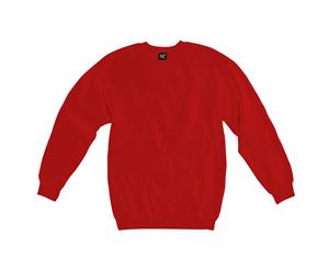 Sg Kids Raglan Sleeve Crew Neck Sweatshirt (Pack Of 2) (Red) - BC4370