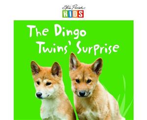 The Dingo Twins' Surprise  Bedtime Read-Along Story Book