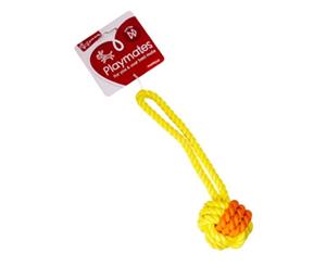 Yours Droolly Rubber Rope Ball Tug