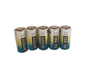 5x L102210AA10E10AG10AGP10AWE10A 9V Alkaline Battery for Remote Dog Collar